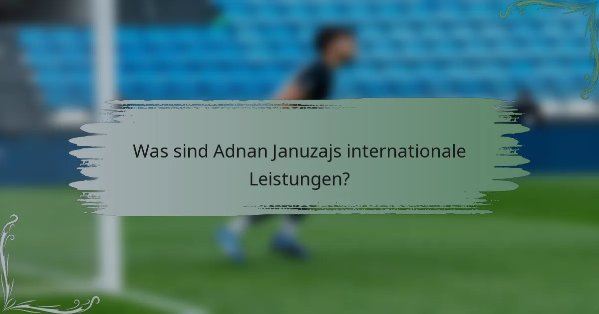 Was sind Adnan Januzajs internationale Leistungen?