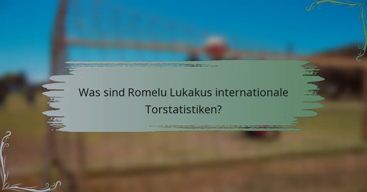 Was sind Romelu Lukakus internationale Torstatistiken?