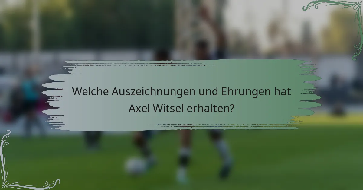 Welche Auszeichnungen und Ehrungen hat Axel Witsel erhalten?