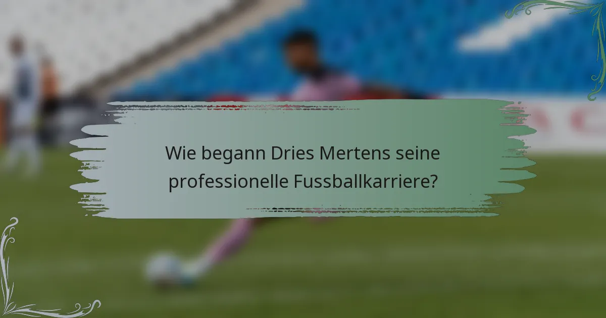 Wie begann Dries Mertens seine professionelle Fussballkarriere?