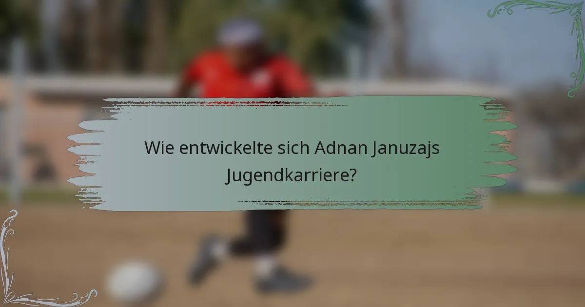 Wie entwickelte sich Adnan Januzajs Jugendkarriere?
