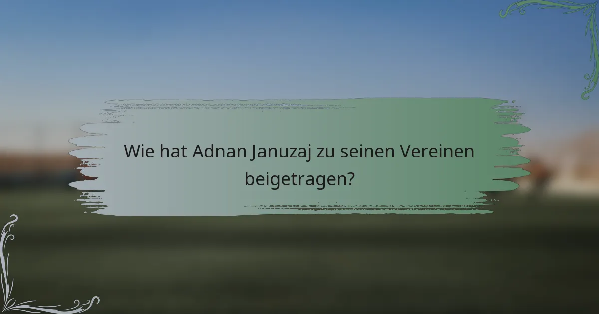 Wie hat Adnan Januzaj zu seinen Vereinen beigetragen?